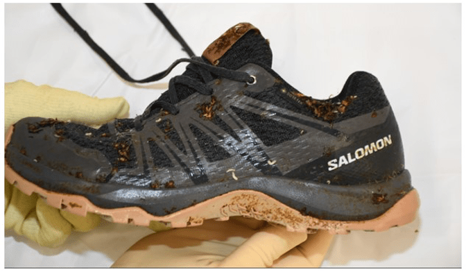 The FOOT in the&nbsp;SHOE