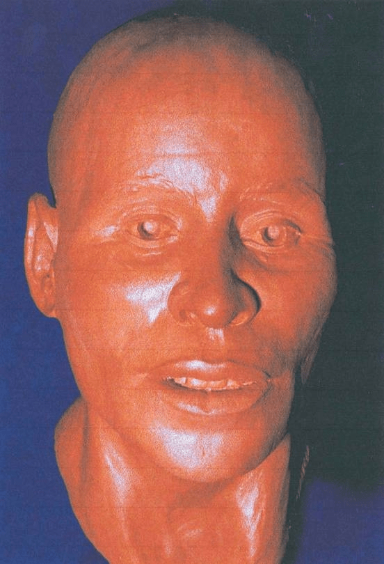 The One with only LEGS and&nbsp;ARMS